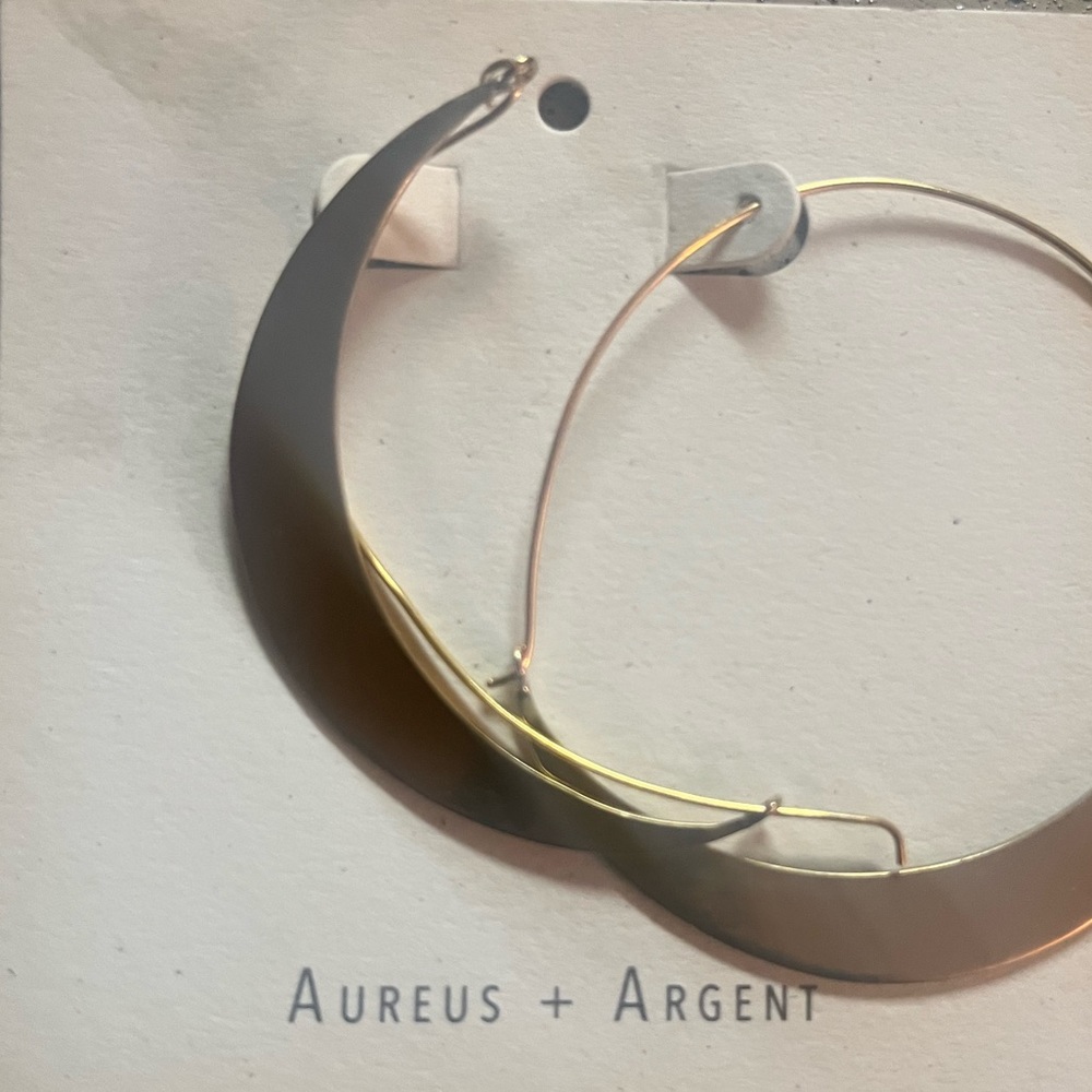 Banana Republic Aureus Agent Earrings